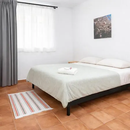 Tenohomes Tabaiba *
