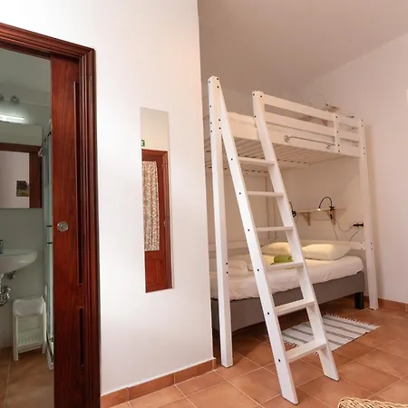 Tenohomes Tabaiba