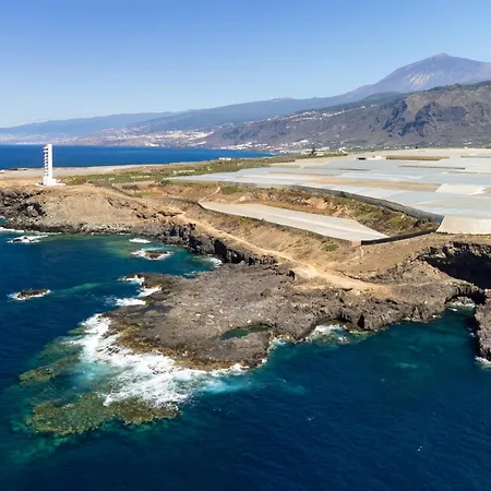 Tabaiba * Buenavista Del Norte