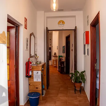 Tenohomes Tabaiba