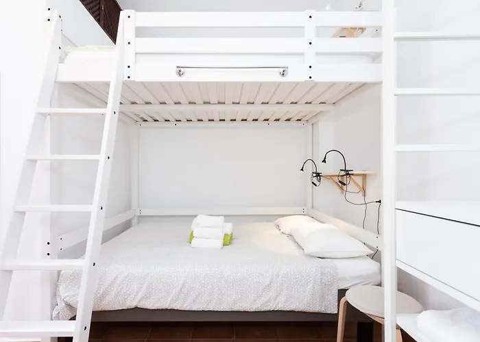 Tabaiba * بوينافيستا ديل نورتي