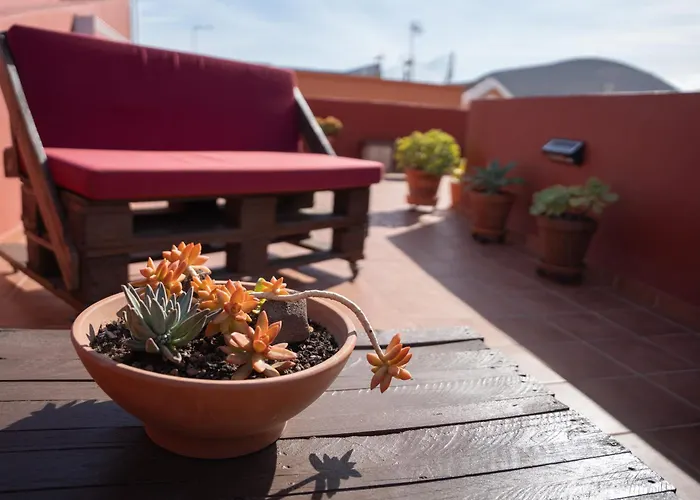 Vendégház Tabaiba Buenavista del Norte