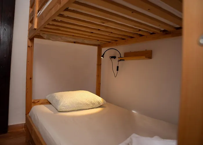 Tabaiba * بوينافيستا ديل نورتي