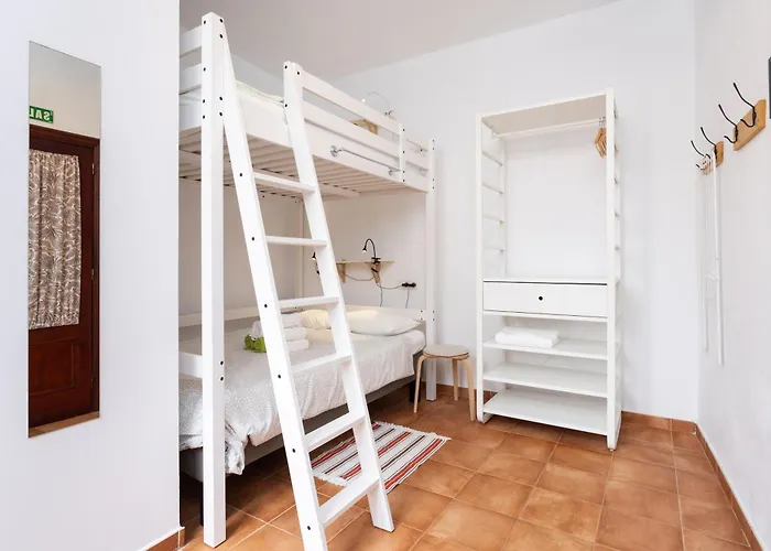 Tabaiba * بوينافيستا ديل نورتي