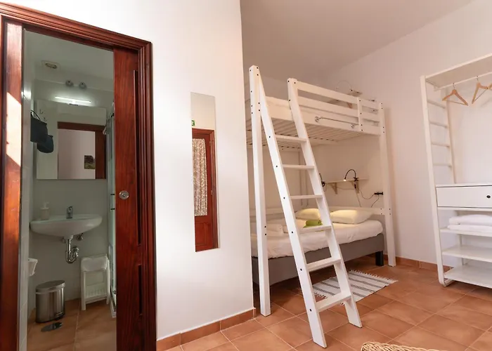 Tabaiba Buenavista del Norte