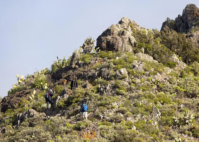 Tabaiba * Buenavista del Norte