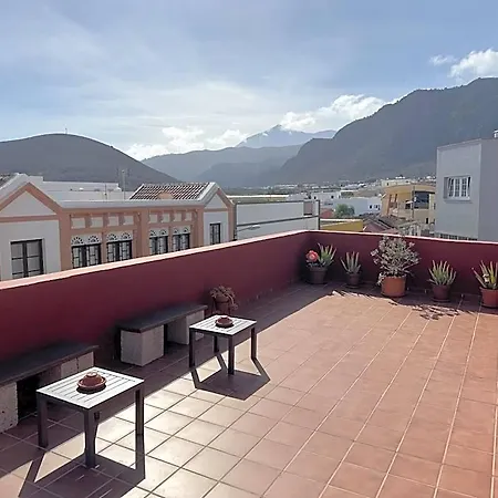 Tenohomes Tabaiba