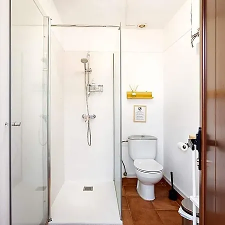 Tenohomes Tabaiba