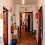 Tenohomes Tabaiba