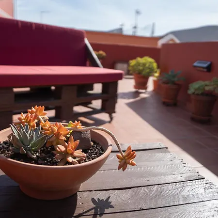 Tenohomes Rustic House With Terrace & Nature Views Buenavista Del Norte