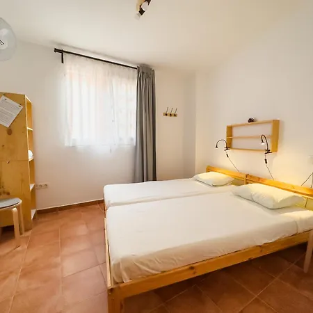 Tenohomes Tabaiba